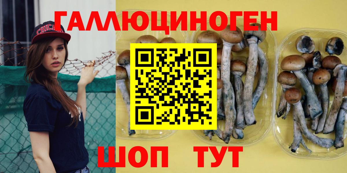 Сатка  Псилоцибиновые грибы GOLDEN TEACHER  Псилоцибиновые грибы мицелий  Вход с VPN 